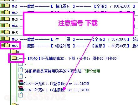 蜀门私服自动刷副本脚本：高效升级与资源获取的智能解决方案